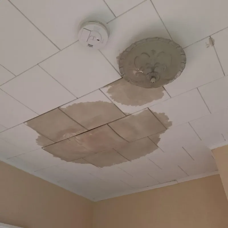 Ceiling Water Damage Repair in Robert Lee, TX