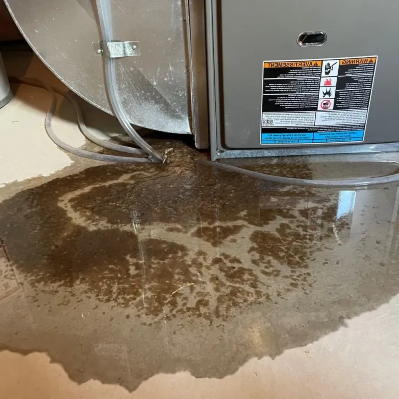 Pipe Burst and Leak Restoration in Robert Lee, TX