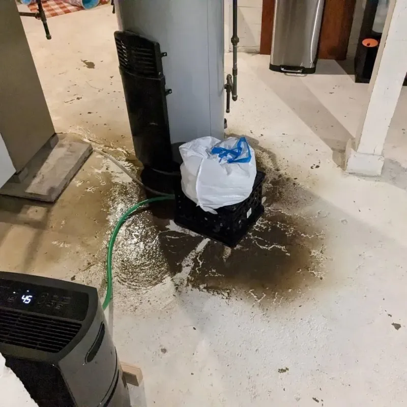 Sewage Backup Cleanup Service in Robert Lee, TX